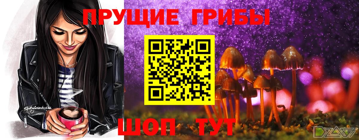 Котельники  Галлюциногенные грибы Cubensis  Вход с VPN 