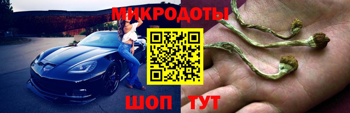 Галлюциногенные грибы Psilocybine cubensis Котельники